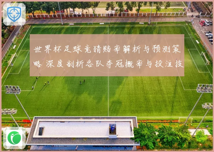 世界杯足球竞猜赔率解析与预测策略 深度剖析各队夺冠概率与投注技巧